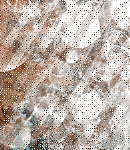 2017asylumtall130x150-343