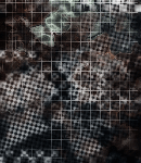 2017asylumtall130x150-401