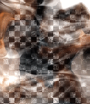 2018asylumtall150x130-141