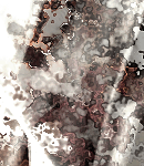 asylum-tall150x130bkgs-055