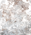 asylum-tall150x130bkgs-078