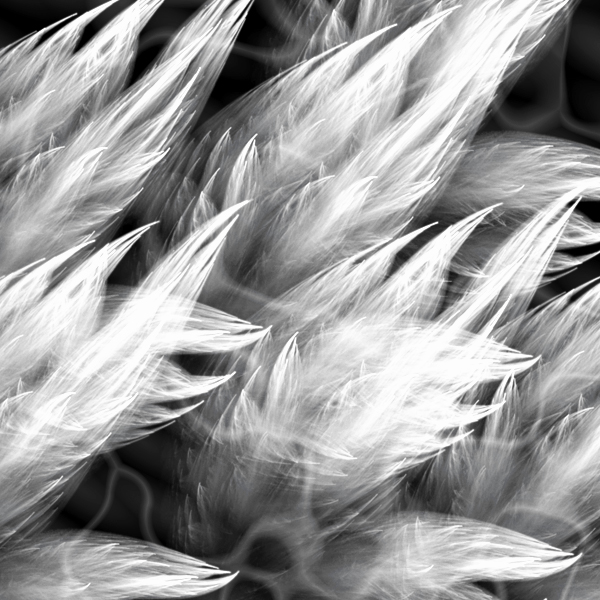 fortebackground600x600-78