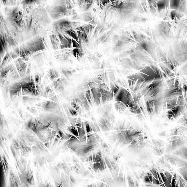fortebackground600x600-86