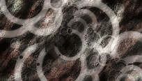 tbc-mated-57