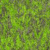 fortebkgd1084