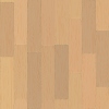 fortebkgd1207