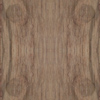 fortebkgd1901