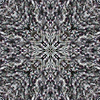 fortebkgd2184