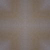 fortebkgd2249