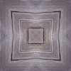 fortebkgd2264
