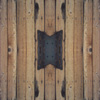 fortebkgd2476