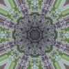 fortebkgd2784