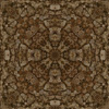 fortebkgd2958