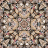 fortebkgd3068