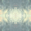 fortebkgd3158