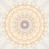 fortebkgd3176