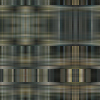 fortebkgd3251