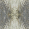 fortebkgd3285