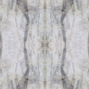 fortebkgd3296
