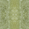 fortebkgd3304
