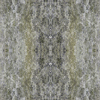 fortebkgd3306