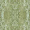 fortebkgd3307