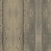 fortebkgd3534