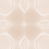 fortebkgd3821