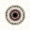 fortebkgd387