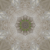 fortebkgd3923