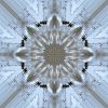 fortebkgd3968
