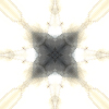 fortebkgd4039
