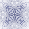 fortebkgd4242