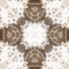 fortebkgd4249