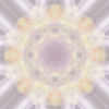 fortebkgd4260