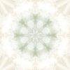 fortebkgd4274