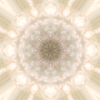 fortebkgd4275