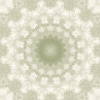 fortebkgd4276