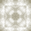 fortebkgd4281