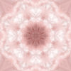 fortebkgd4282