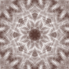 fortebkgd4292