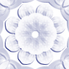fortebkgd4305