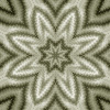 fortebkgd431