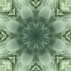 fortebkgd4310