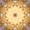 fortebkgd4318