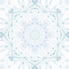 fortebkgd4358