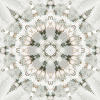 fortebkgd4407
