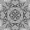 fortebkgd4412