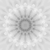 fortebkgd4415