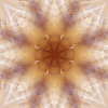 fortebkgd4417